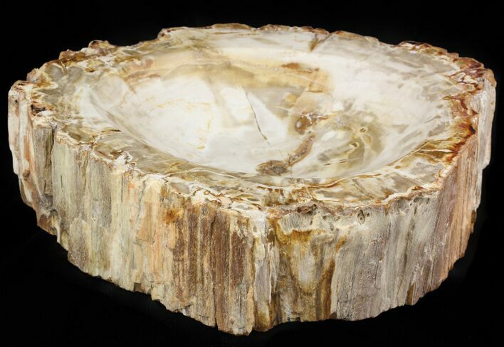 Polished Madagascar Petrified Wood Bowl - #48684